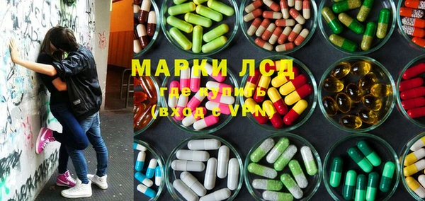 PSILOCYBIN Алзамай