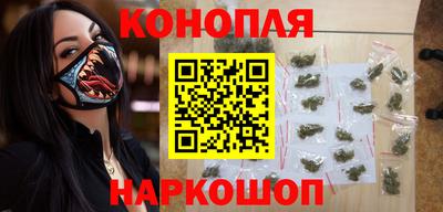 шишки Будённовск