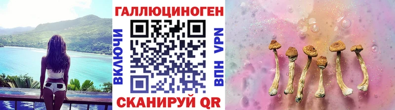 цены наркотик  Волгодонск  Псилоцибиновые грибы Magic Shrooms 